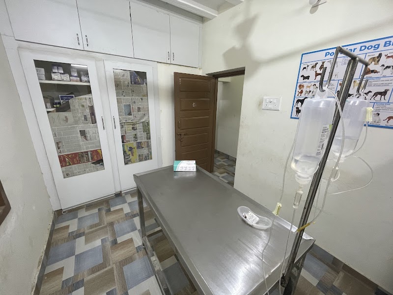 Dr. RK PET CLINIC 24/7 | Coimbatore — Photo 2