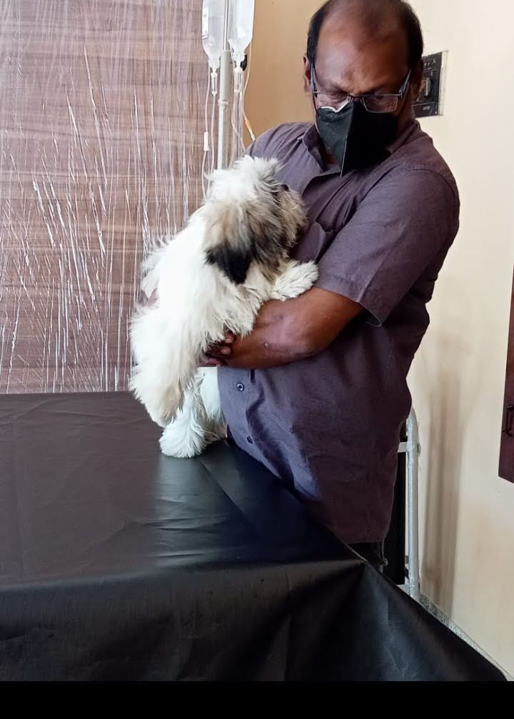 Dr Sabu's elcado pets and PET Clinic — Photo 4