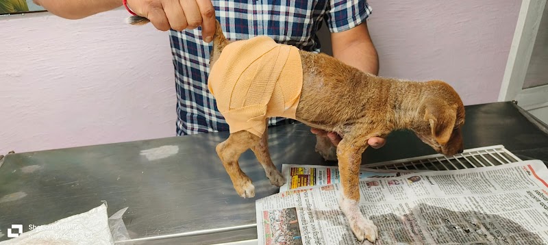 Dr. Sanjay Gaikwad's Pet Care Clinic — Photo 2