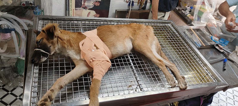 Dr. Sanjay Gaikwad's Pet Care Clinic — Photo 3