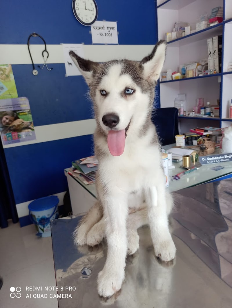 Dr. Sudhanshu Singh — Photo 3