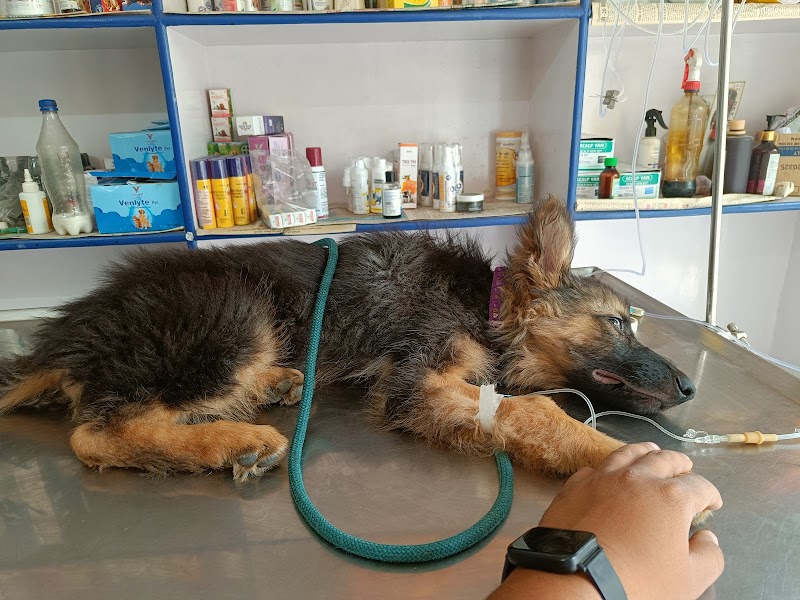 Dr. Sudhanshu Singh — Photo 4