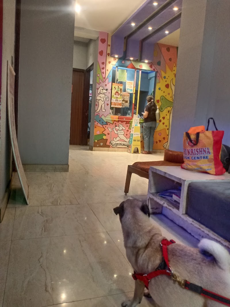 Dr Surya Best Veterinary Doctor In Lucknow — Photo 2