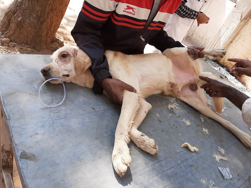 Dr S.vishal clinic — Photo 2