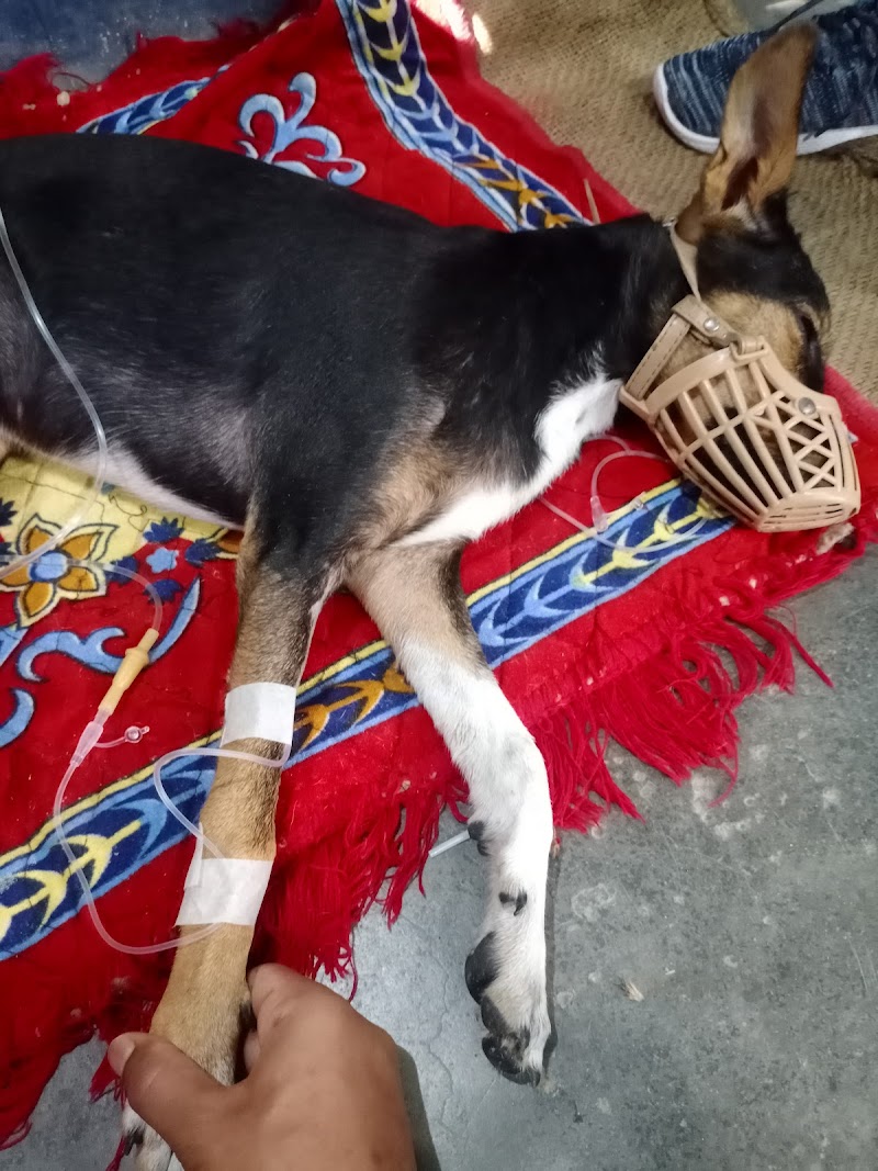 Dr S.vishal clinic — Photo 3