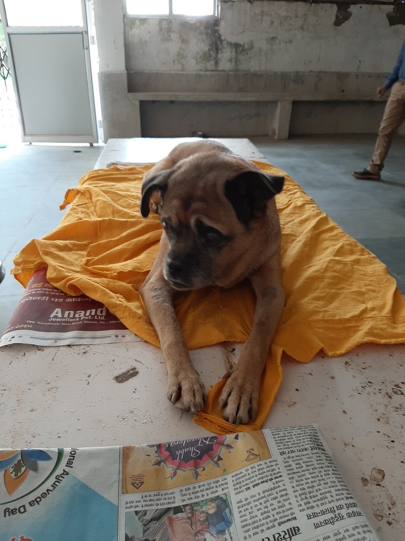 Dr S.vishal clinic — Photo 4