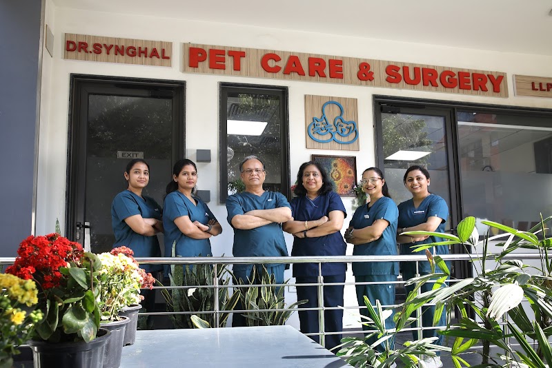 Dr. Synghal Pet Care & Surgery LLP