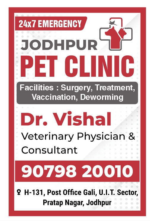 Dr. Vishal Pet Clinic & Animal Hospital