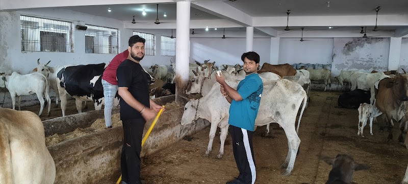 D.r vk gautam — Photo 3