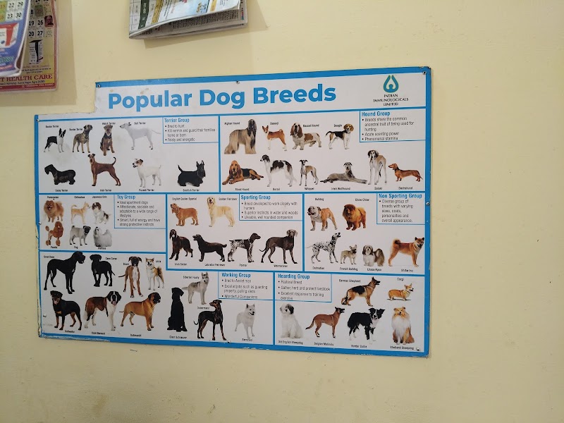 D.r vk gautam — Photo 4