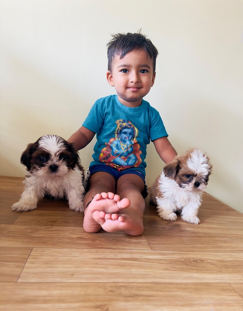 Dr.Rajshekhar S. Dadke — Photo 4