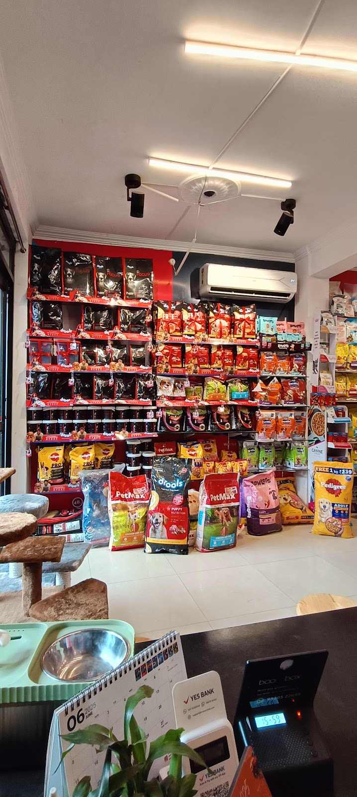 Dyna Pet Club & Store -Best Pet Shop in Lucknow — Photo 4