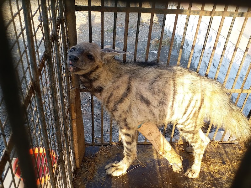 Eco-Echo Foundation Wildlife Rescue — Photo 3