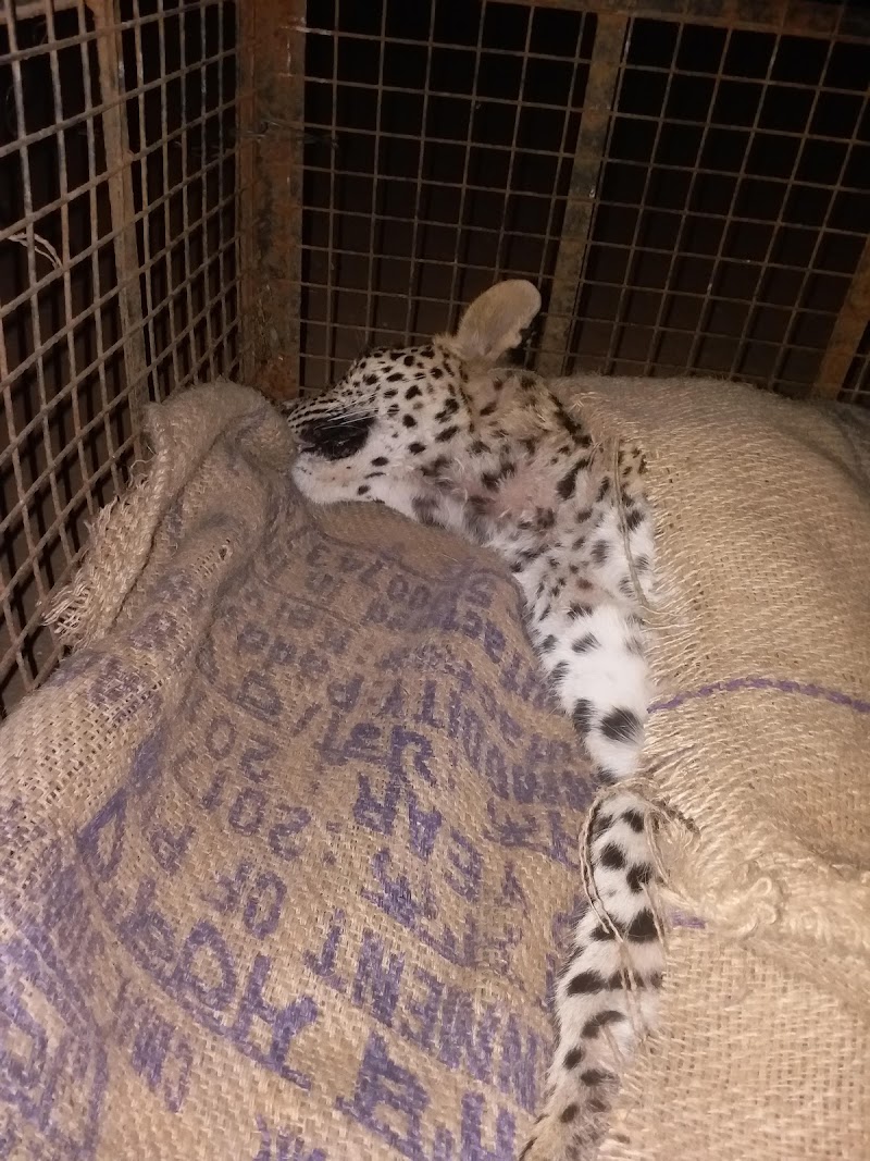 Eco-Echo Foundation Wildlife Rescue — Photo 4