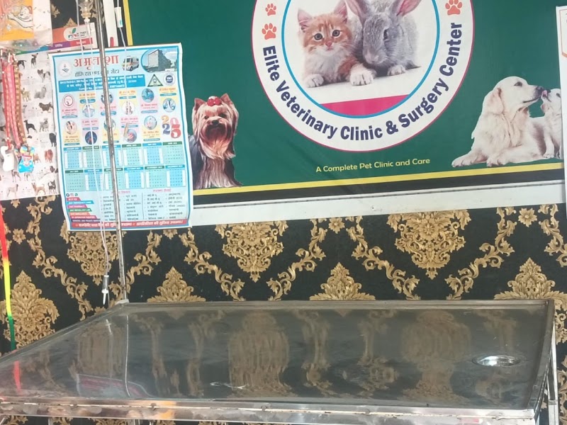 Elite Veterinary Clinic & Surgery Center — Photo 3