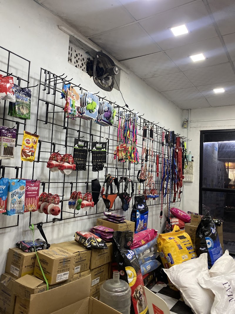 Engineers pet shop 2