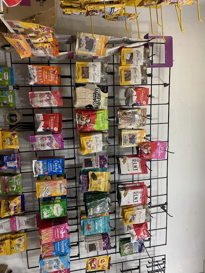 Engineers pet shop 2 — Photo 2