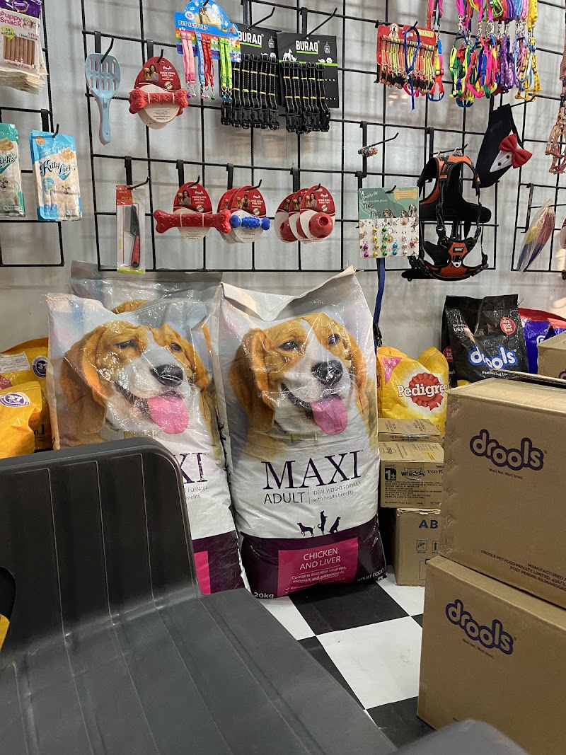 Engineers pet shop 2 — Photo 3