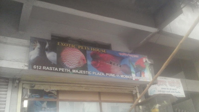 Exotic pets house