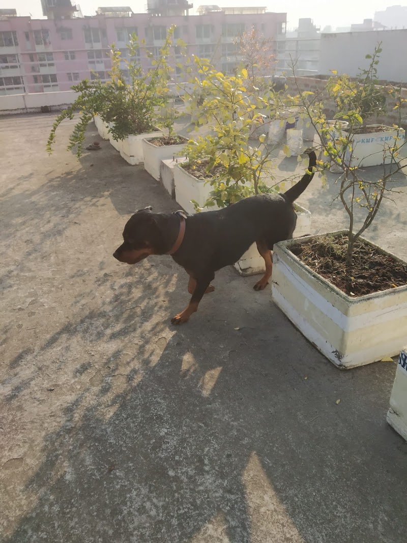 Fido's Abode (closed) — Photo 2