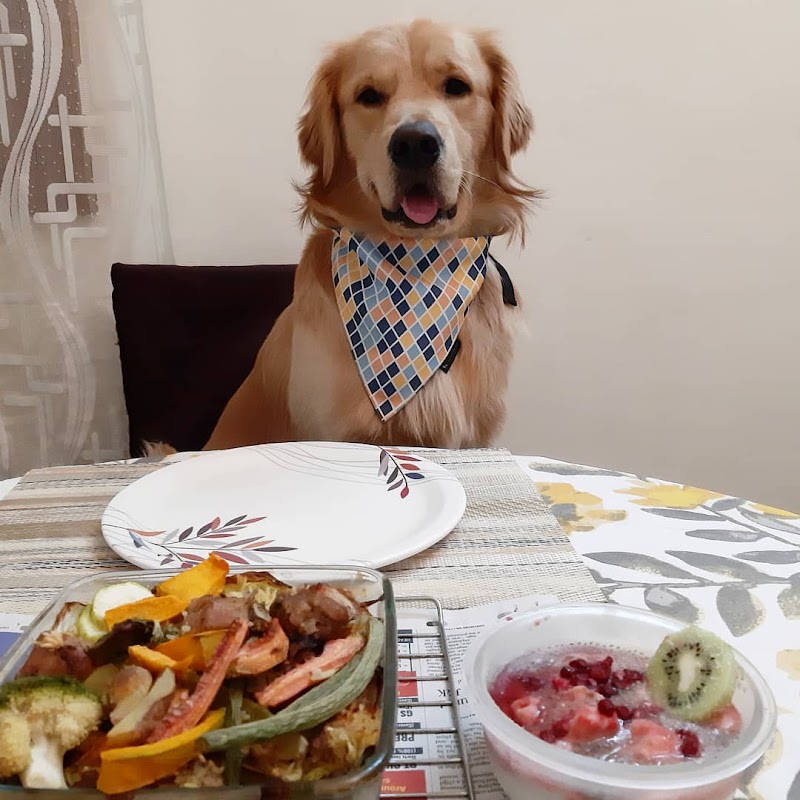 Fido's Abode (closed) — Photo 3