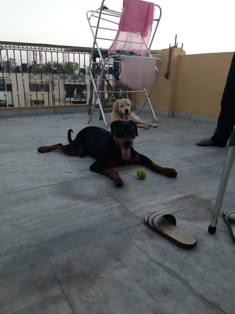 Fido's Abode (closed) — Photo 4