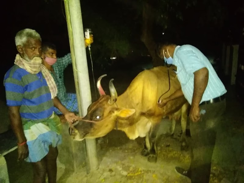 Field vet veterinary clinic — Photo 2