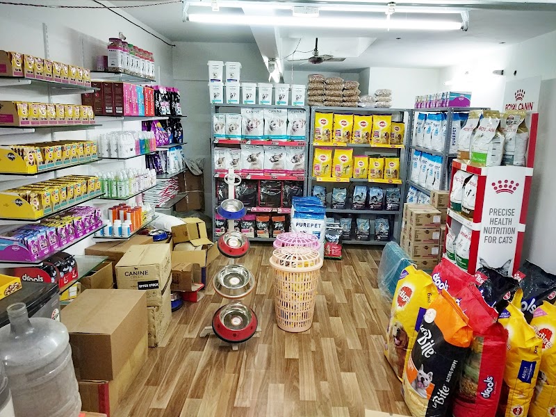 FIRSTDOG | Katargam, Surat - Pet Shop & Grooming — Photo 2