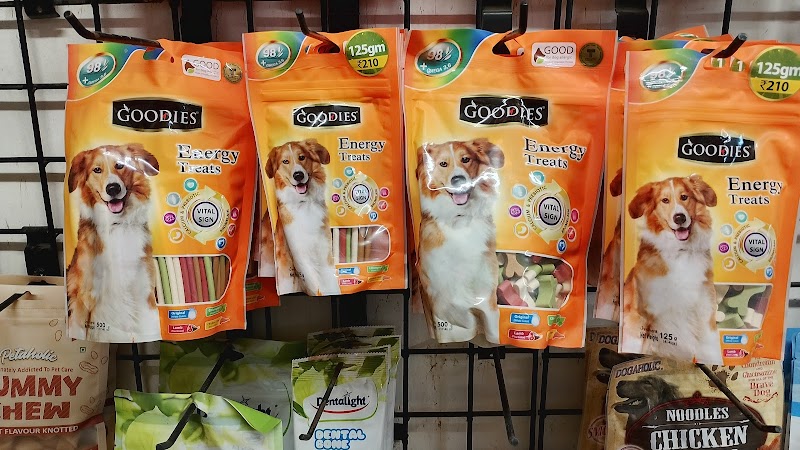 FIRSTDOG | Katargam, Surat - Pet Shop & Grooming — Photo 4