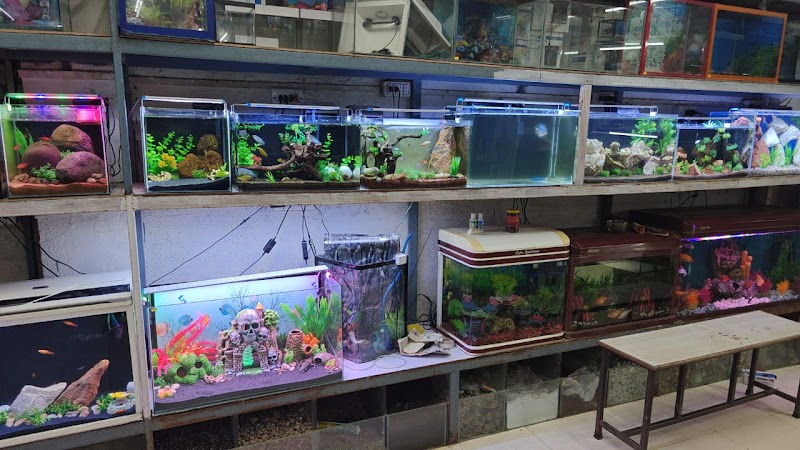 Fish n fun aquarium — Photo 2