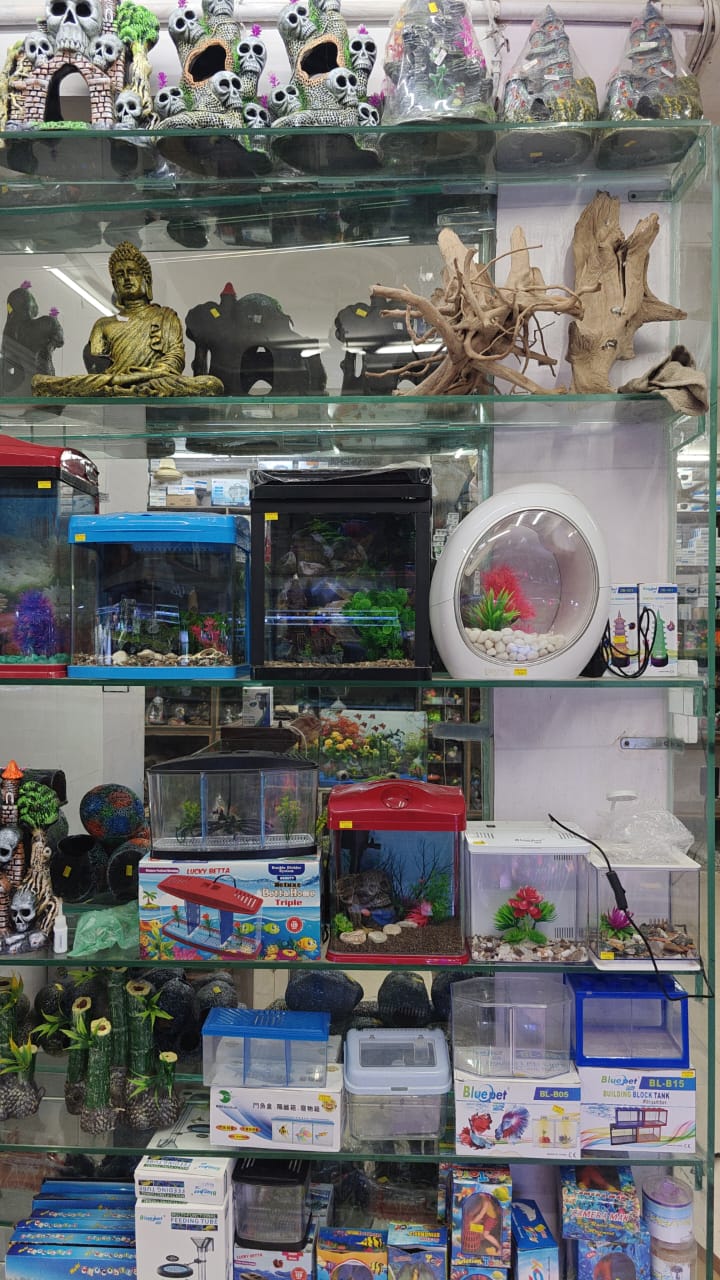 Fish n fun aquarium — Photo 3