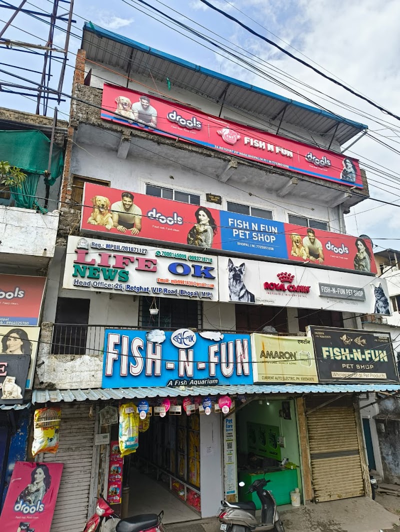 Fish n fun aquarium — Photo 4