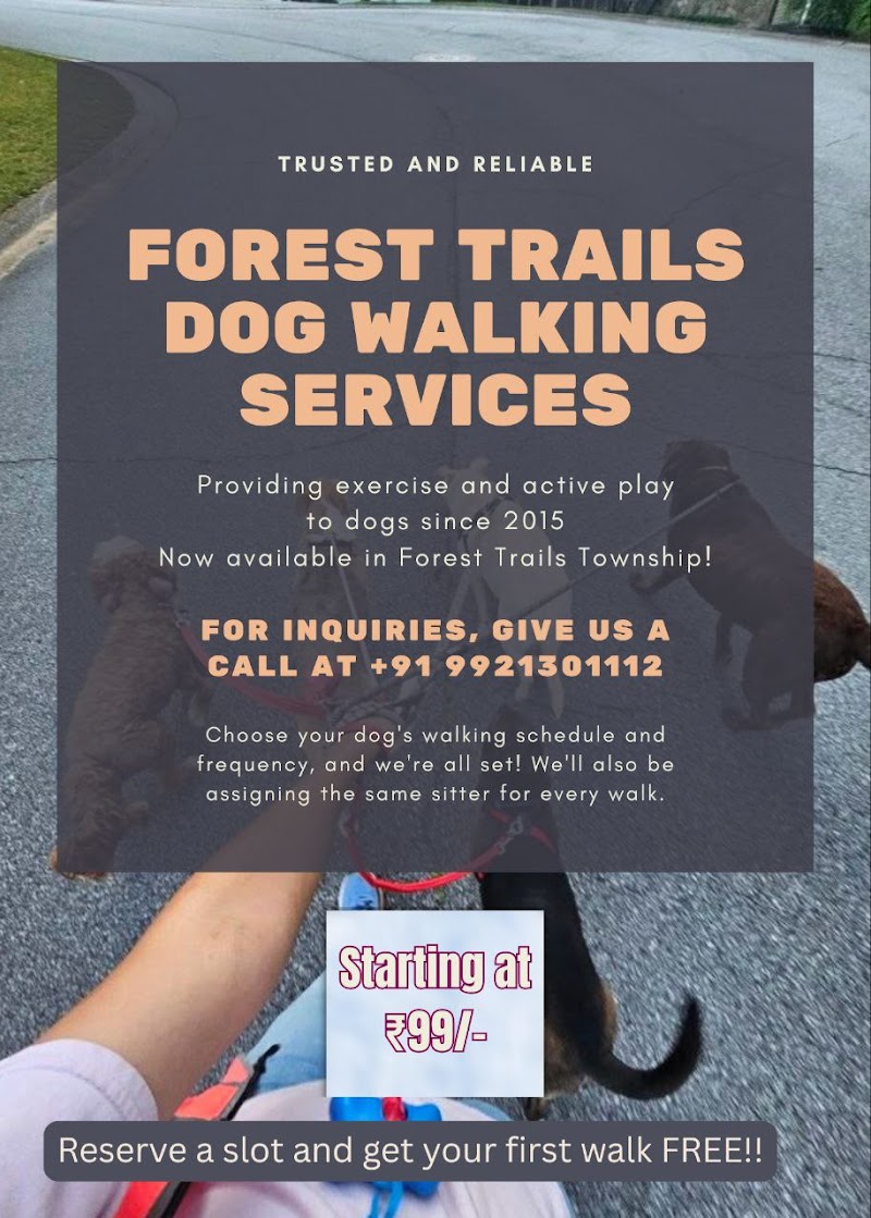 Forest Trails Dog walking services
