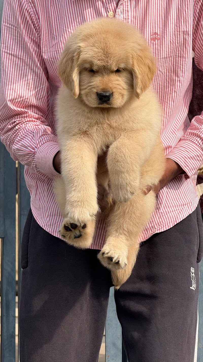 FORTUNE BEST PET SHOP — Photo 2