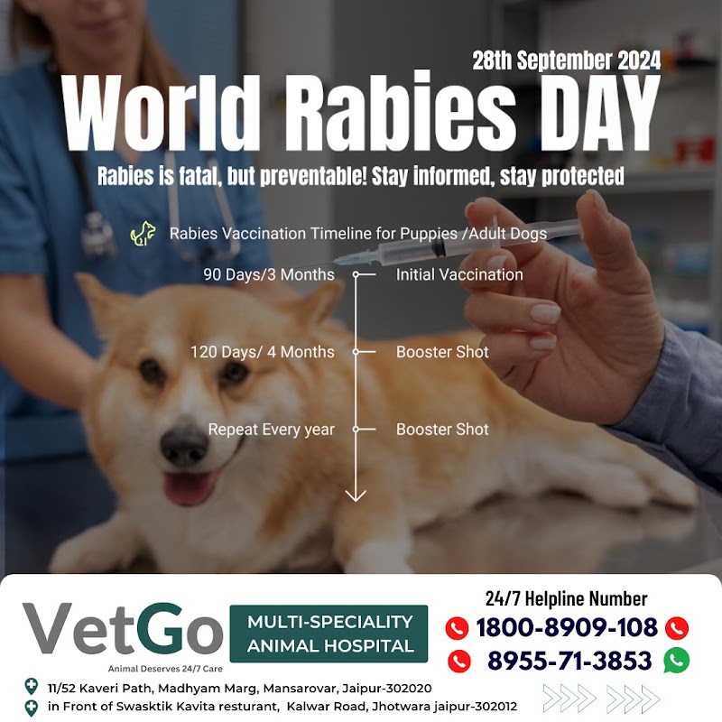 Free VetGo Multi-Specialty Animal Hospital — Photo 2