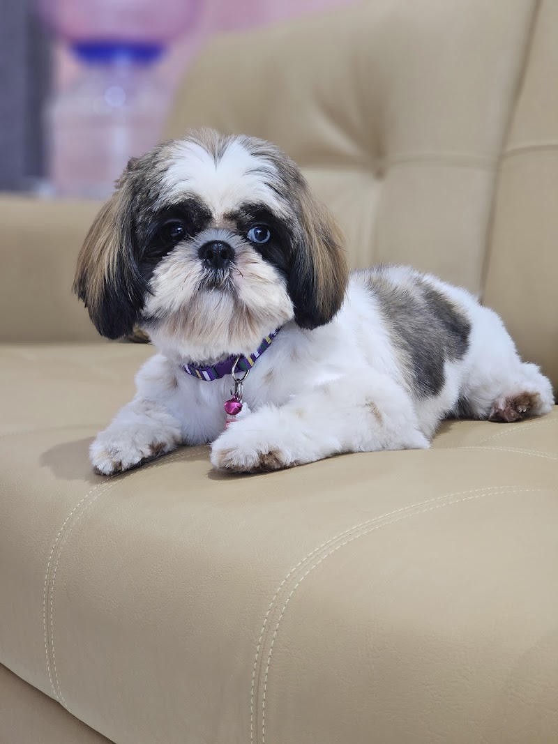 Furberry by April's Pet Care