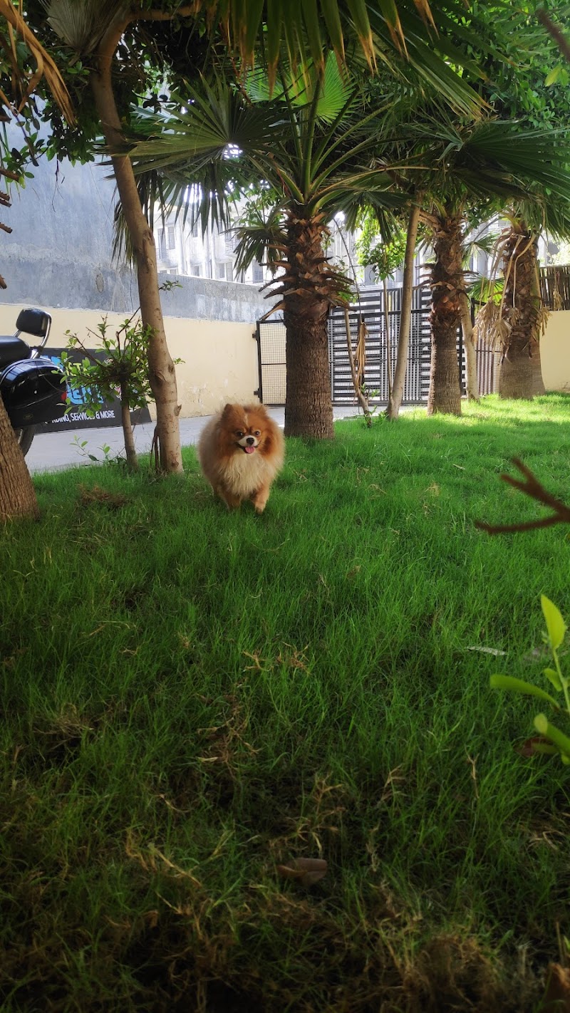 FURISTA RETREAT (Pet Boarding) — Photo 3