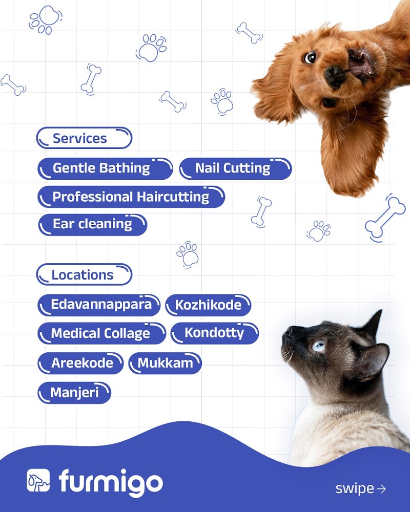 Furmigo - Best Pet Store & Grooming — Photo 3