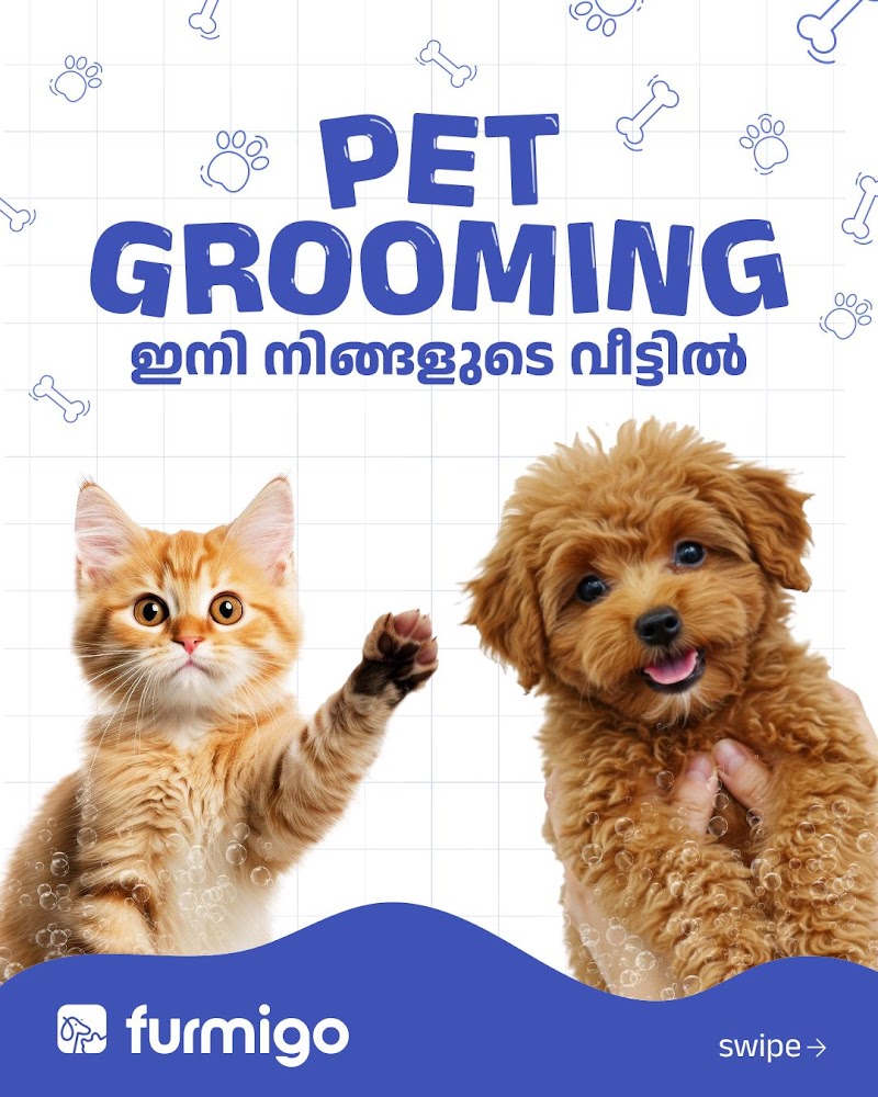Furmigo - Best Pet Store & Grooming — Photo 4