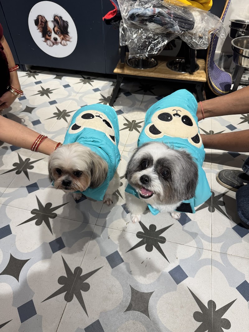 Furpetual - Pet Store Spa & Jacuzzi | Full Service Grooming — Photo 4