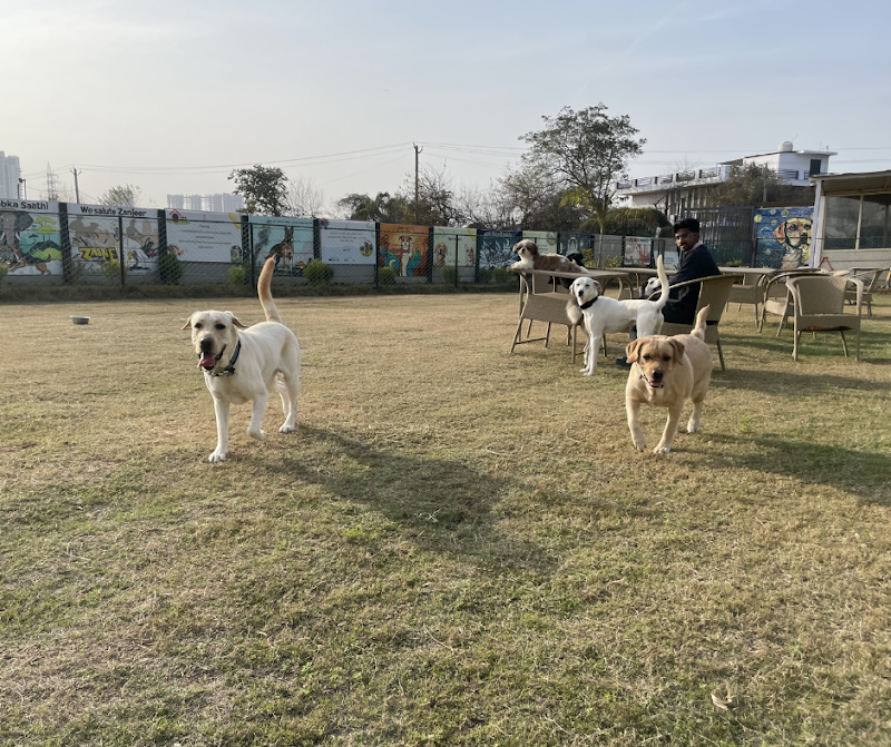 Furrvy - Pet Boarding, Daycare & Grooming | Sector 58, Gurugram — Photo 2