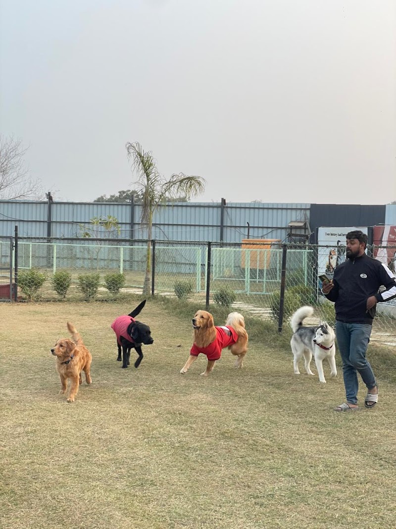 Furrvy - Pet Boarding, Daycare & Grooming | Sector 58, Gurugram — Photo 3