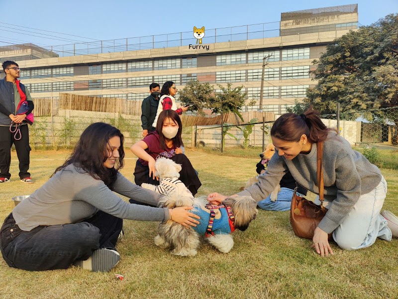 Furrvy - Pet Boarding, Daycare & Grooming | Sector 58, Gurugram — Photo 4