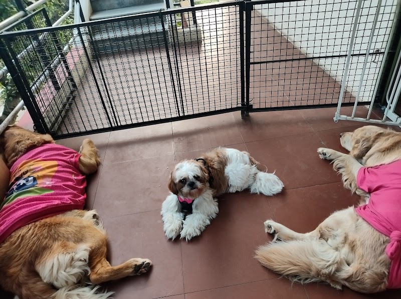 Furry Den Doggy Stay — Photo 4