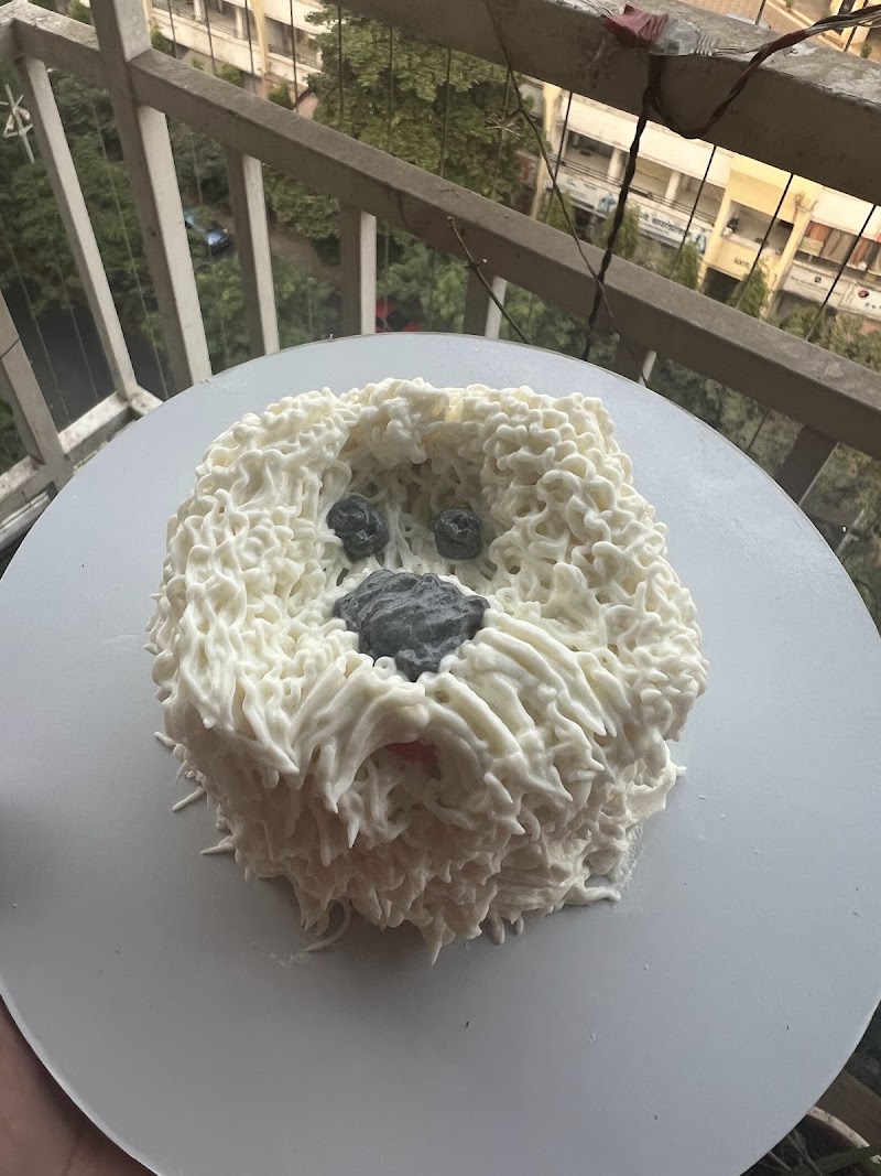 Furry Friends & Co - Kharghar — Photo 2