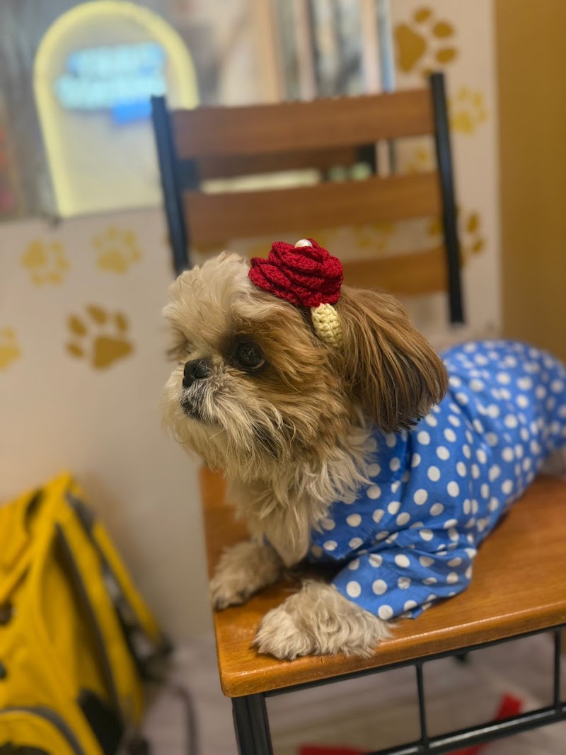 Furry Friends & Co - Kharghar — Photo 4