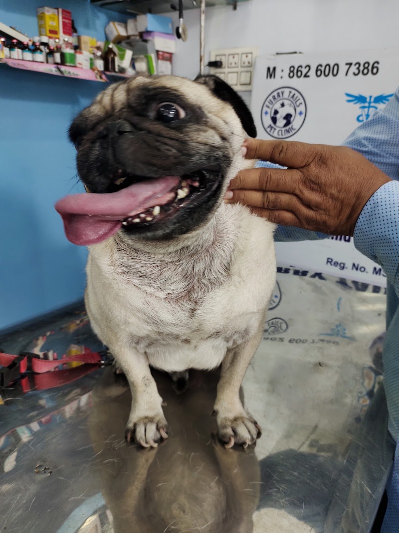 Furry Tails Pet Clinic — Photo 2