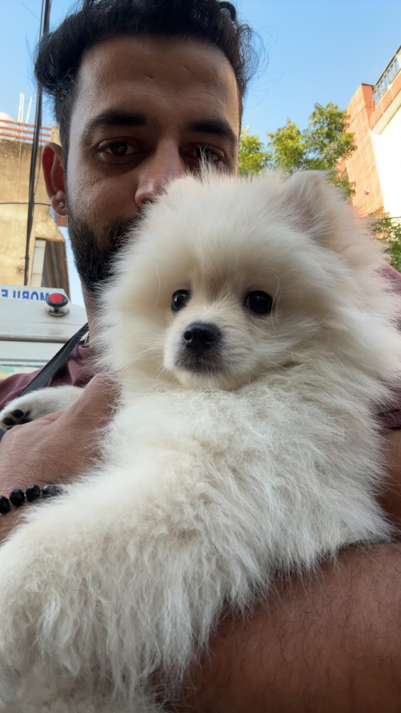 FurryCare_Dehradun — Photo 2