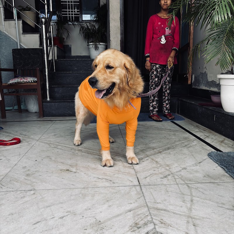 FurryCare_Dehradun — Photo 3