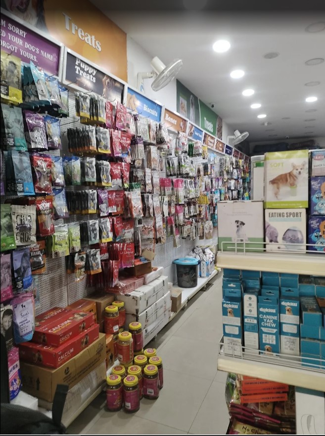 GABBAR TAILS - Best pet shop in Patna — Photo 2